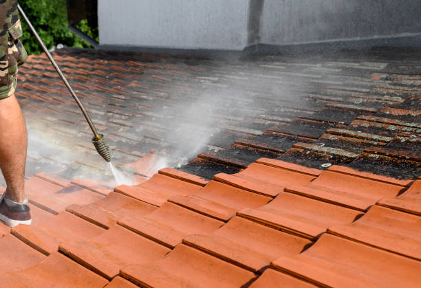 Best Exterior Home Cleaning  in Landmk, AR